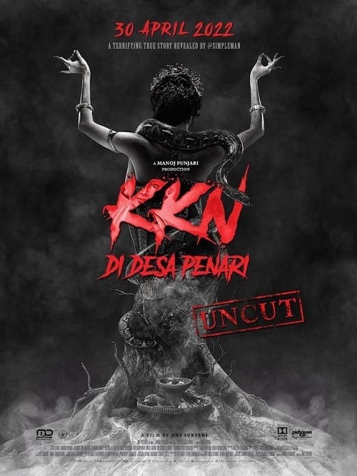 KKN di Desa Penari โปสเตอร์