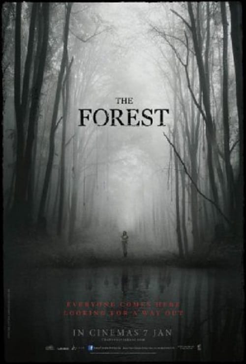 The Forest (2016) ป่าสูบวิญญาณ โปสเตอร์