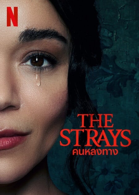 The Strays (2023) คนหลงทาง โปสเตอร์