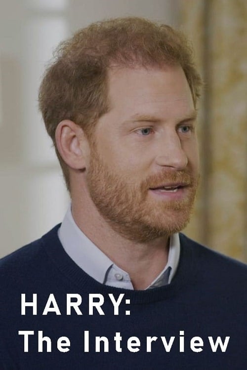 Harry The Interview โปสเตอร์