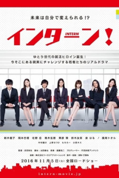 Intern (2016) อินเทิร์น โปสเตอร์
