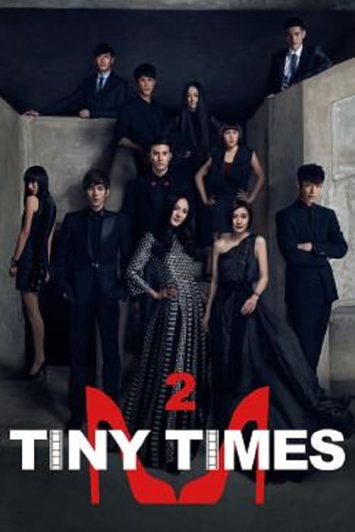 Tiny Times 2 โปสเตอร์