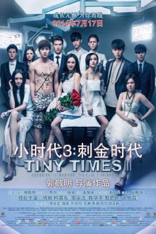 Tiny Times 3 โปสเตอร์