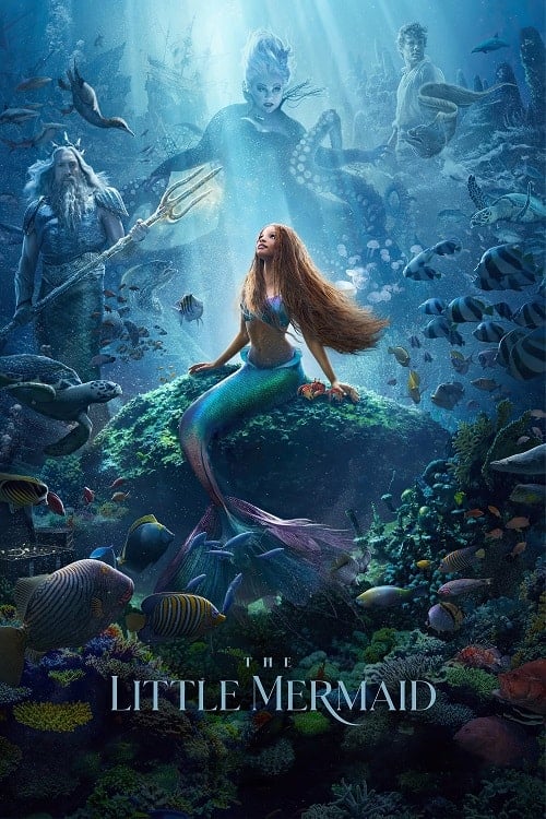 The Little Mermaid (2023) เงือกน้อยผจญภัย โปสเตอร์