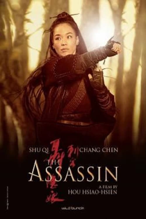 The Assassin (2015) ประกาศิต หงษ์สังหาร โปสเตอร์