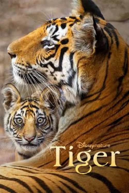 Tiger โปสเตอร์