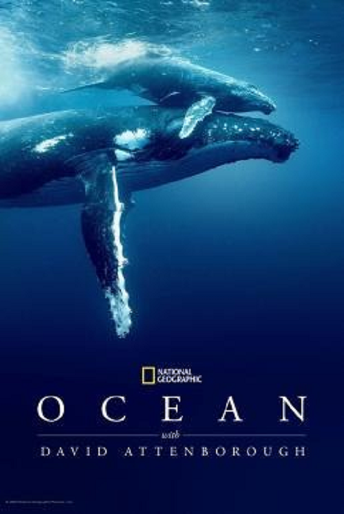 Ocean with David Attenborough โปสเตอร์