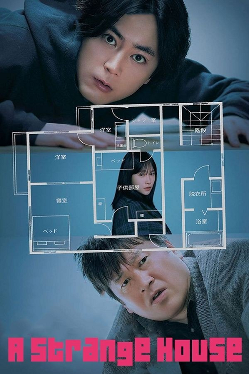 A Strange House โปสเตอร์