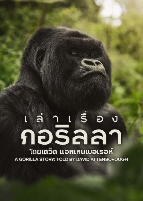 A Gorilla Story (2026) เล่าเรื่องกอริลลา โดยเดวิด แอทเทนเบอเรอห์ เซอร์เดวิด โปสเตอร์
